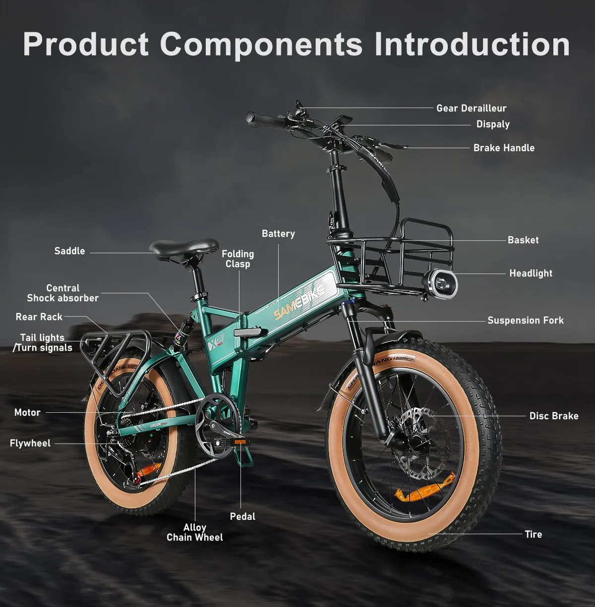 SAMEBIKE XWLX09-II 1000W fat tire electric mountain bike for adults-10
