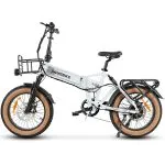 SAMEBIKE XWLX09-II 1000W fat tire electric mountain bike for adults-2