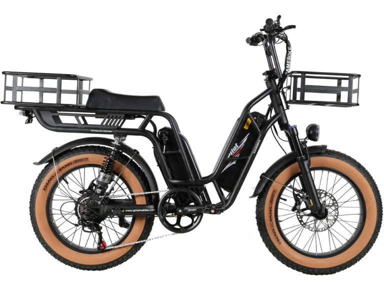 Wholesale SAMEBIKE DY08 delivery step-through all-terrian with 2 baskets ebike-1