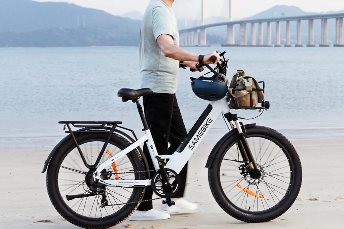 electric bike from China 1