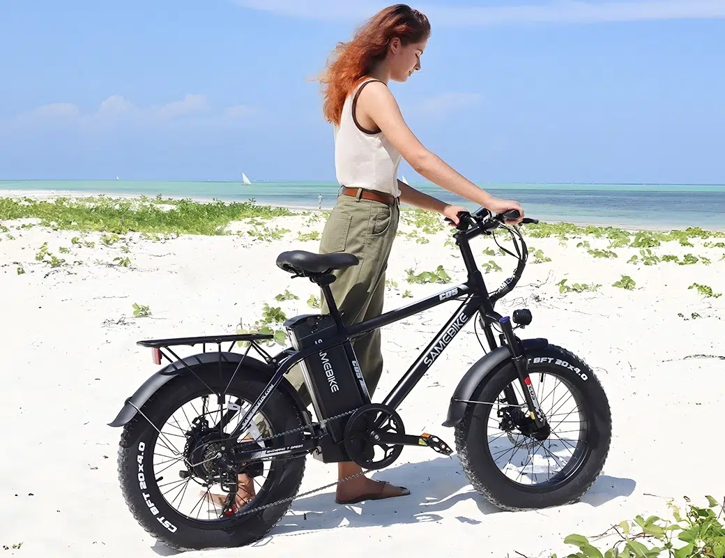 Fat Tire Ebike