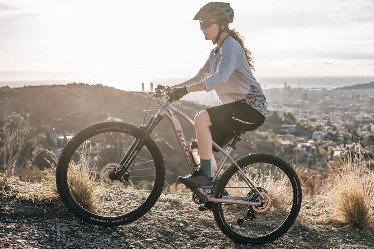 iBikes Chile e-bike