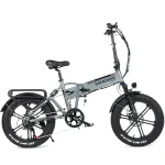 LOTDM200 Folding Fat Tire Electric Bike