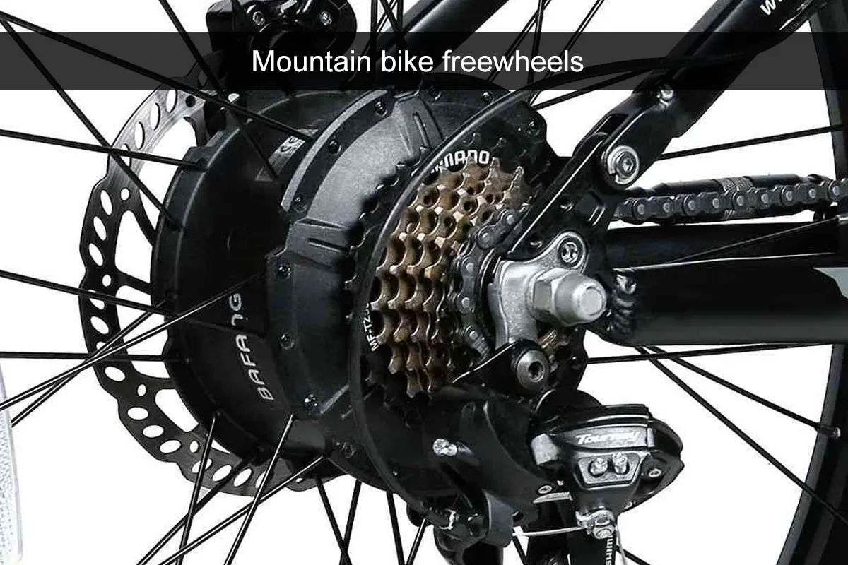 Ruote libere per mountain bike