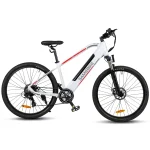 MY275 Big Wheel 110KM Range Mountain Electric Bike-1