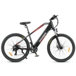MY275 Big Wheel 110KM Range Mountain Electric Bike