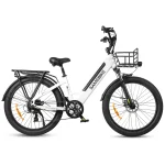 RS-A01 120KM range cargo electric bike-1
