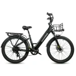 RS-A01 120KM range cargo electric bike