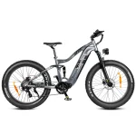 RS-A08 750W Hydraulic Brake Professional Mountain Electric Bike-1