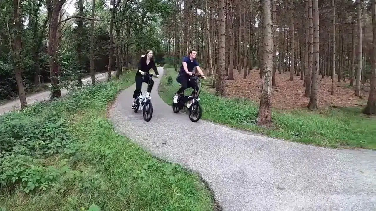 samebike 20LVXD30 Ebike