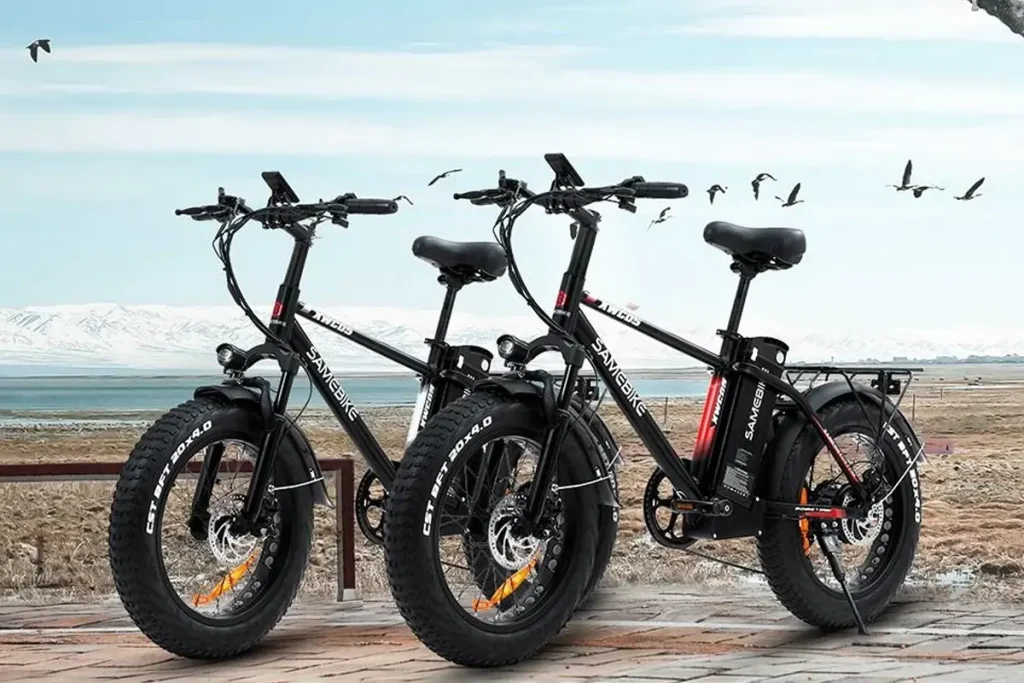 SAMEBIKE XWC05-1