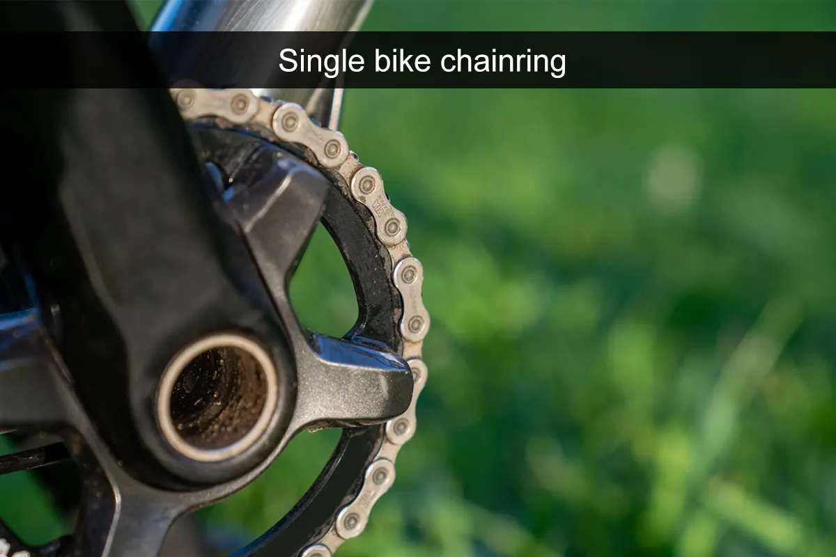 Single bike chainring