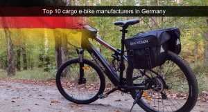 Top 10 cargo e-bike manufacturers in Germany