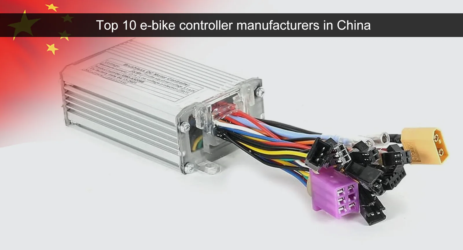 Top 10 e-bike controller companies in China